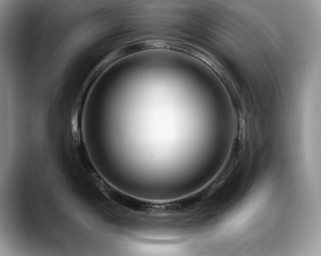 X0000088901198200706081300