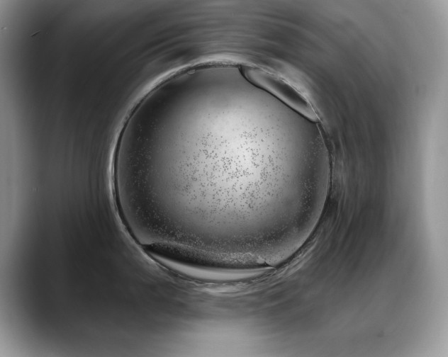 X0000088901199200706081300