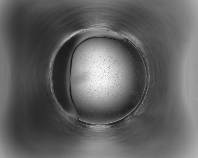 X0000088901200200706081300