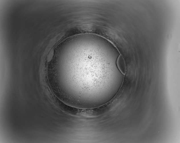 X0000088901201200706081259