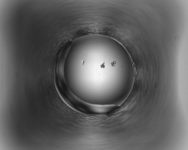 X0000088901202200706081259