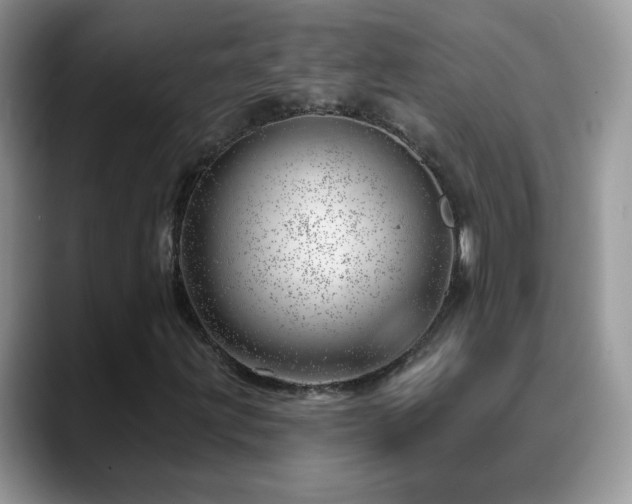 X0000088901203200706081300