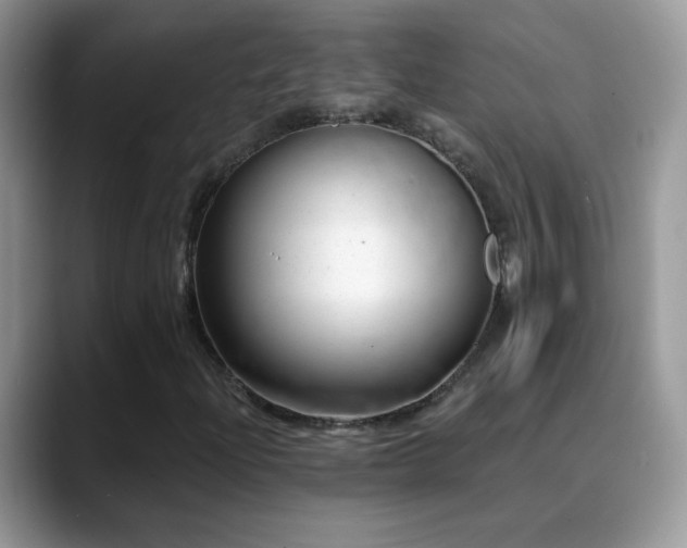 X0000088901204200706081300