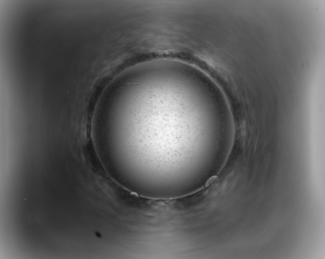 X0000088901205200706081300