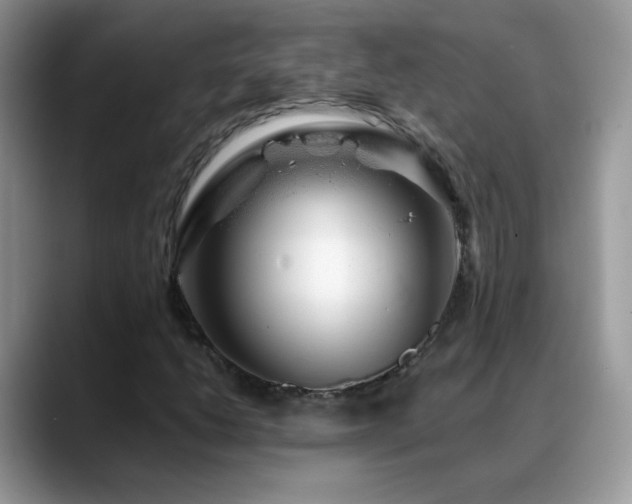 X0000088901206200706081300