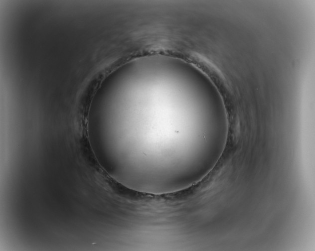 X0000088901207200706081300