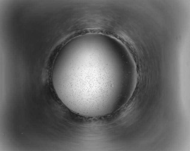 X0000088901208200706081300