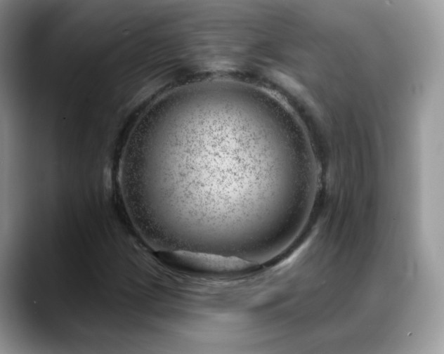 X0000088901209200706081300