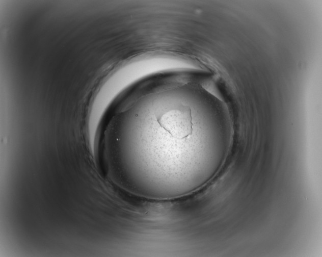 X0000088901210200706081300