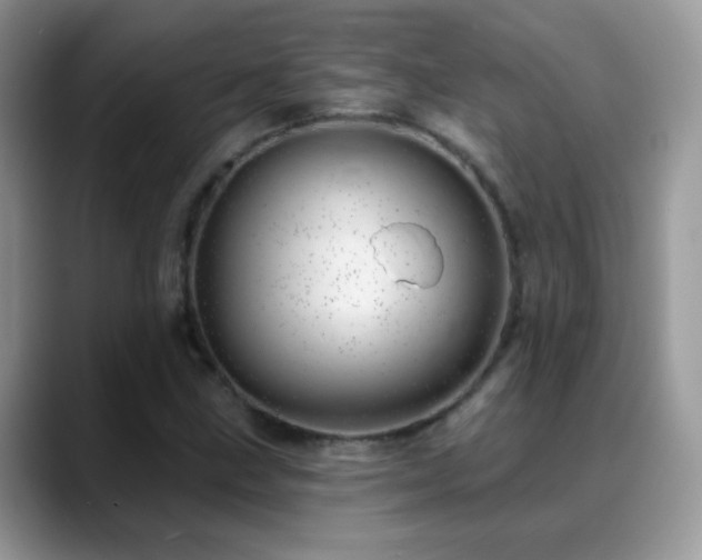 X0000088901211200706081300