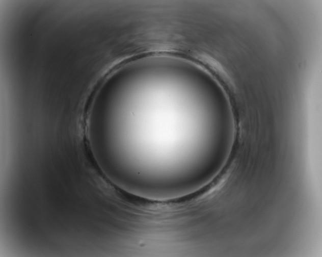 X0000088901212200706081300