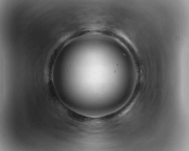 X0000088901213200706081300