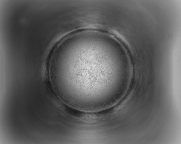 X0000088901215200706081300