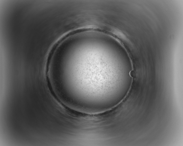 X0000088901216200706081300