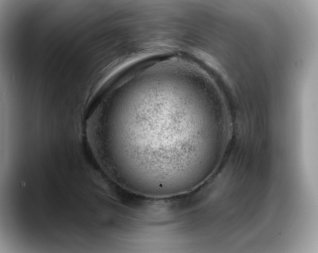 X0000088901217200706081300