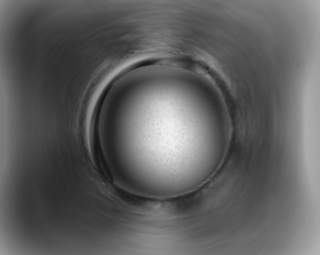 X0000088901218200706081300