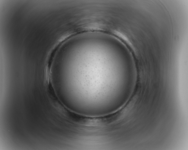 X0000088901219200706081300