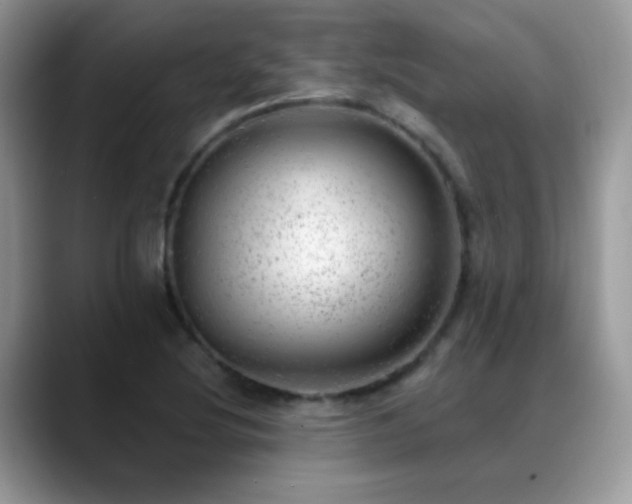 X0000088901220200706081300