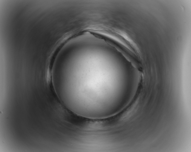 X0000088901221200706081300