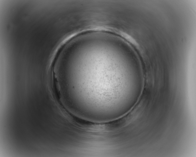 X0000088901223200706081300