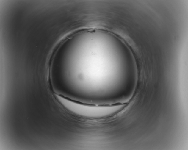 X0000088901224200706081300