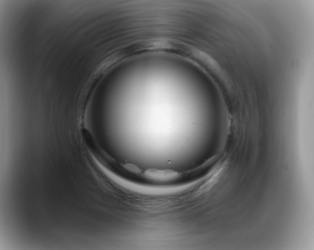X0000088901225200706081300