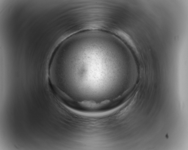 X0000088901226200706081300