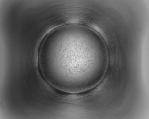 X0000088901227200706081300