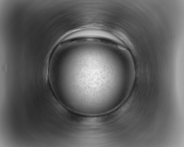 X0000088901228200706081300