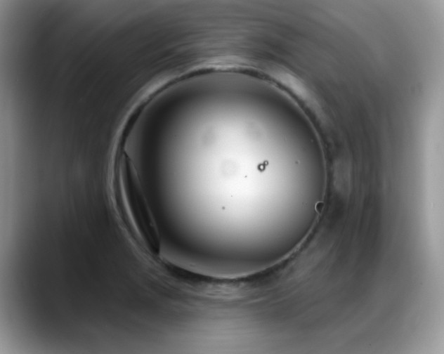 X0000088901229200706081300
