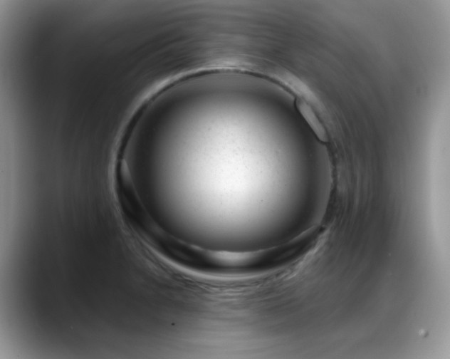 X0000088901230200706081300
