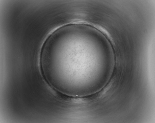X0000088901231200706081300