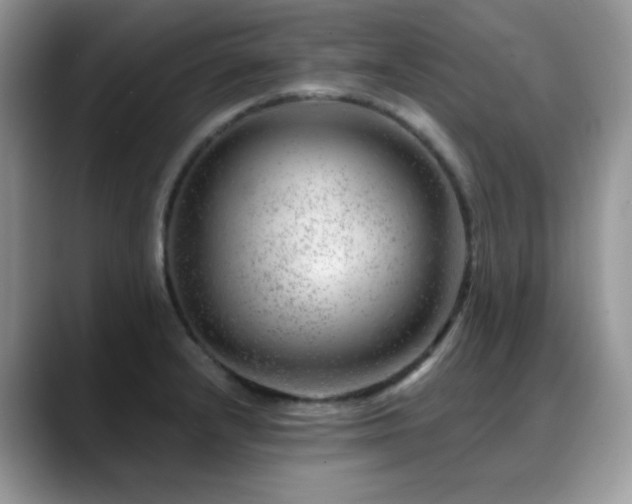 X0000088901232200706081300