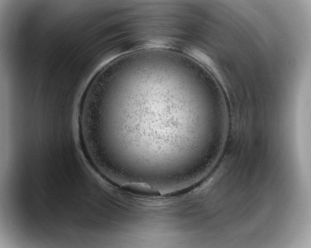 X0000088901235200706081300