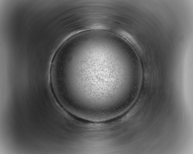 X0000088901236200706081300