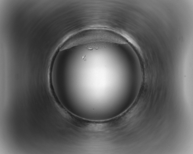 X0000088901237200706081300