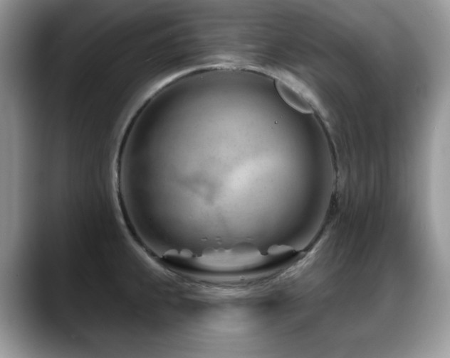 X0000088901239200706081300