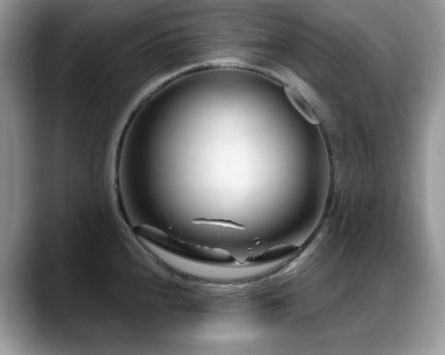 X0000088901240200706081300