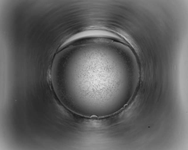 X0000088901241200706081300