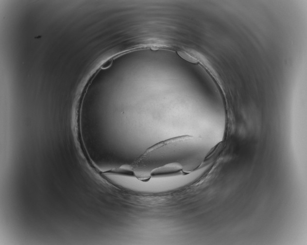 X0000088901243200706081300