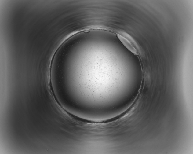 X0000088901244200706081300