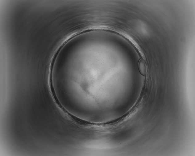 X0000088901245200706081300