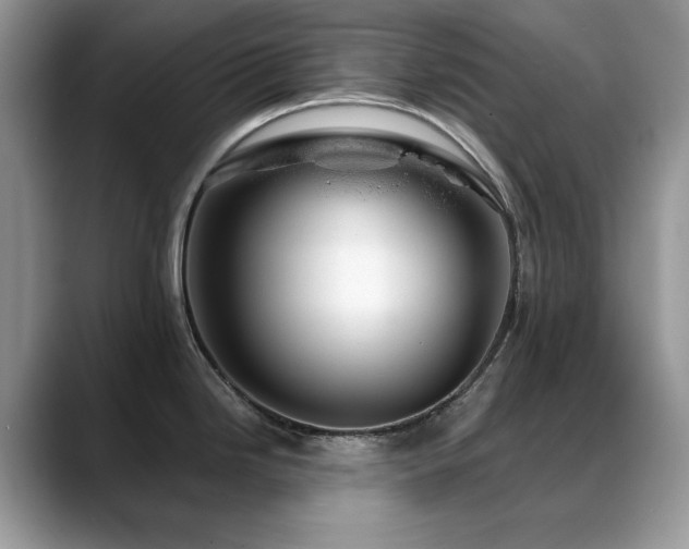 X0000088901246200706081300