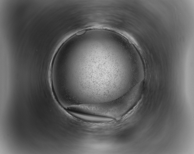 X0000088901247200706081300