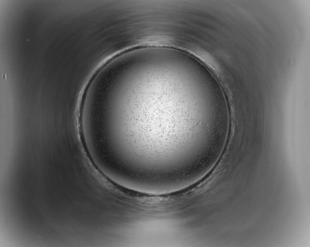 X0000088901248200706081300