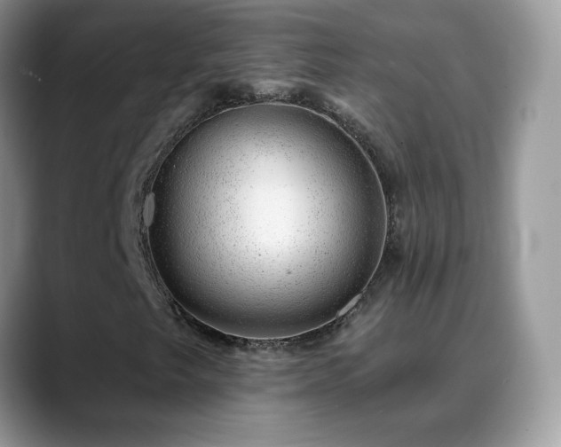 X0000088901249200706081259