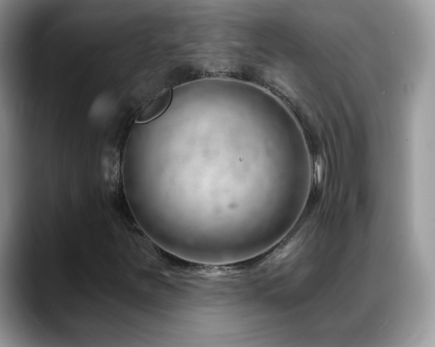 X0000088901251200706081259