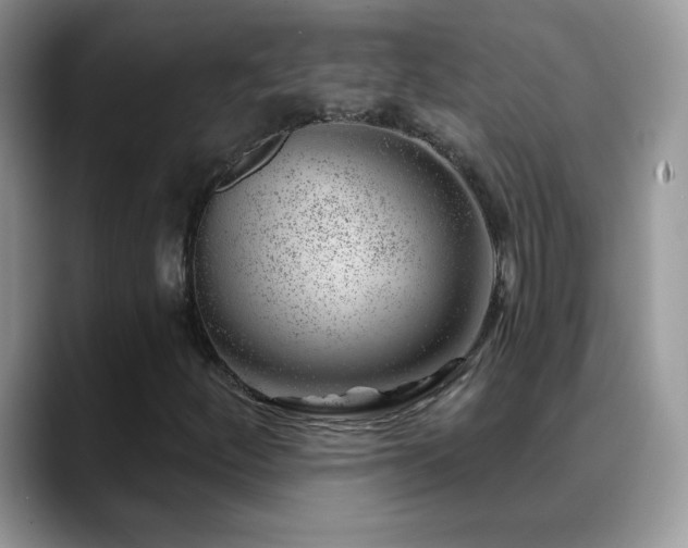 X0000088901252200706081259