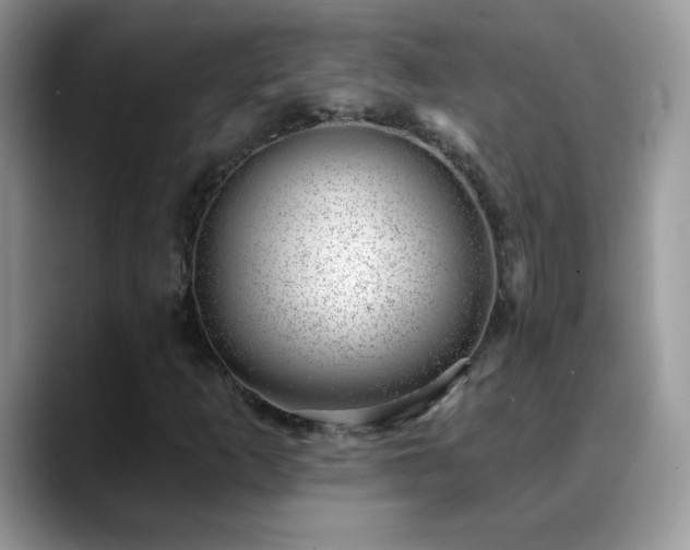 X0000088901253200706081259
