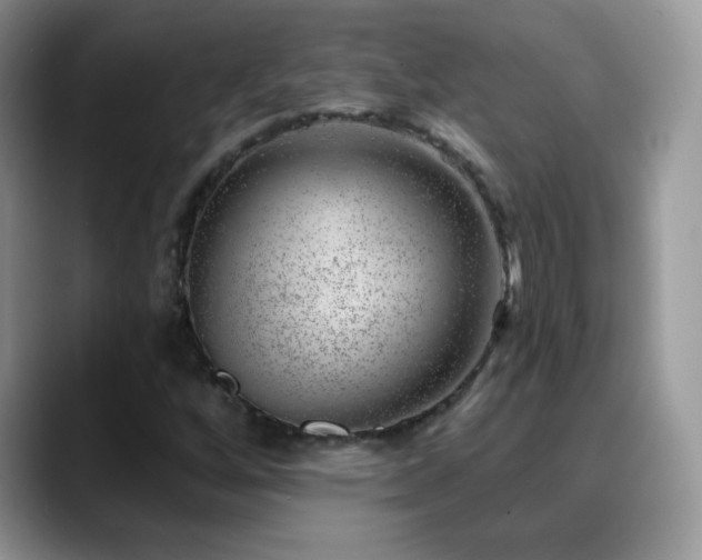 X0000088901256200706081259